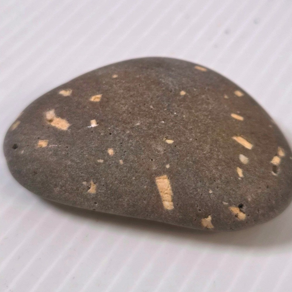 Gray‎ Speckled River Stone Natural Feldspar Inclusions 2 Inch Rock Specimen Flat